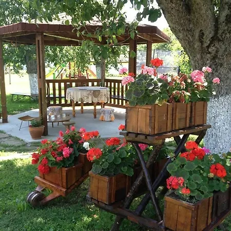 Nigovanka 2*